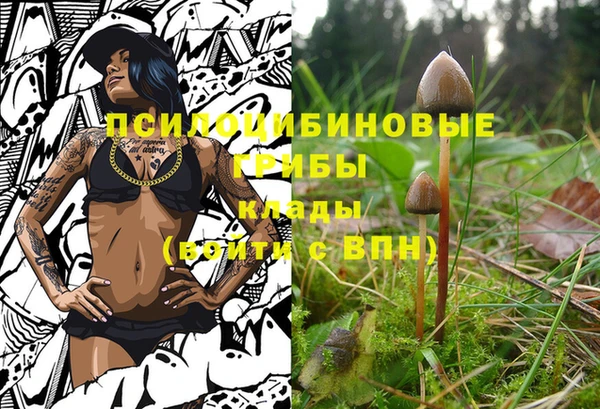 дурь Алексеевка