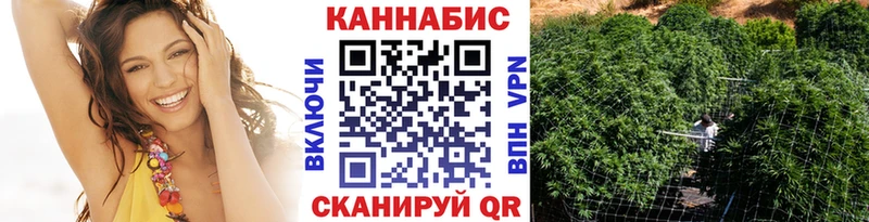 Каннабис планчик  где купить   MEGA ONION  Мышкин 